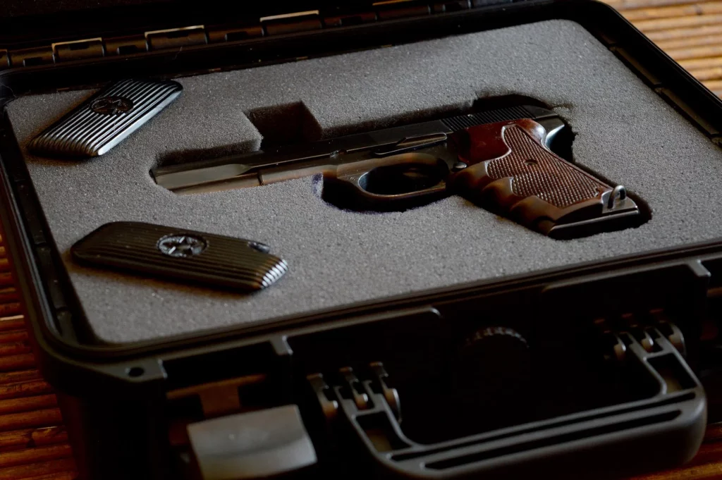 A gun in its case