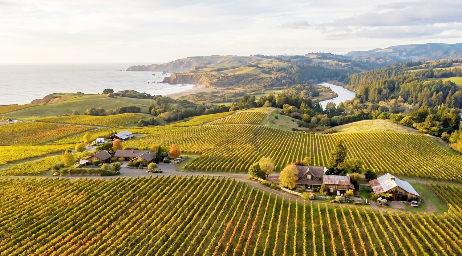Sonoma County coastline